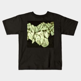 Caladium Leaves Kids T-Shirt